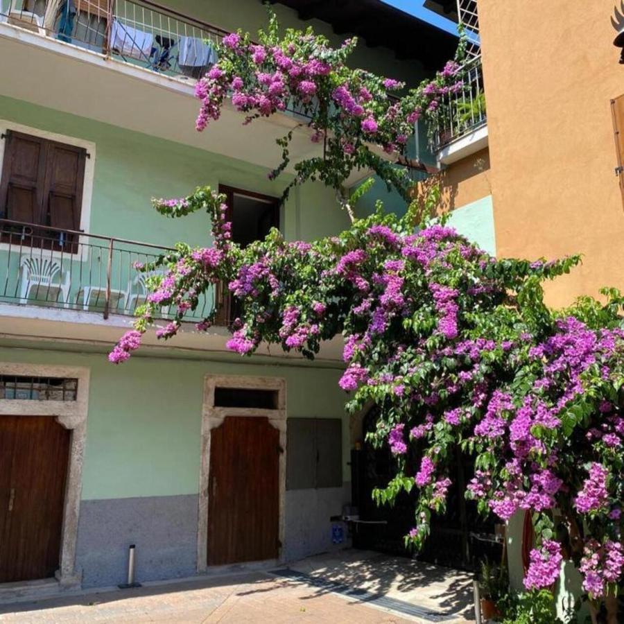 Casa Zanoni Apartment Torbole Sul Garda Luaran gambar